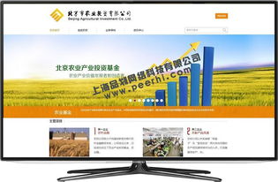 松江地區網站服務全攻略 從設計、改版到維護與咨詢